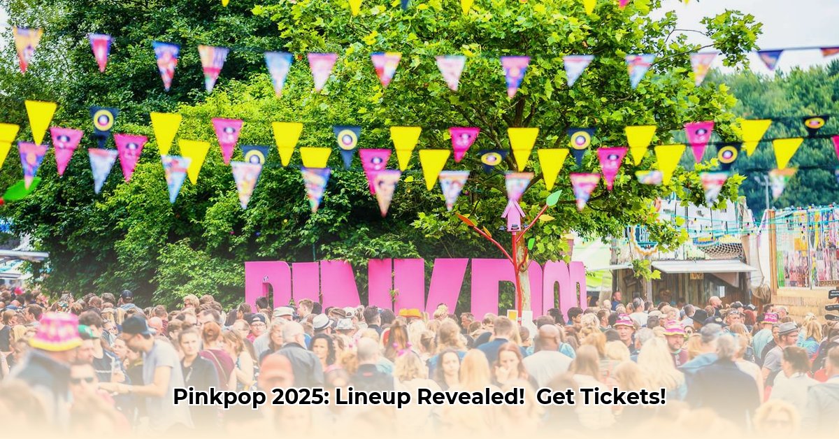 ticket-pinkpop
